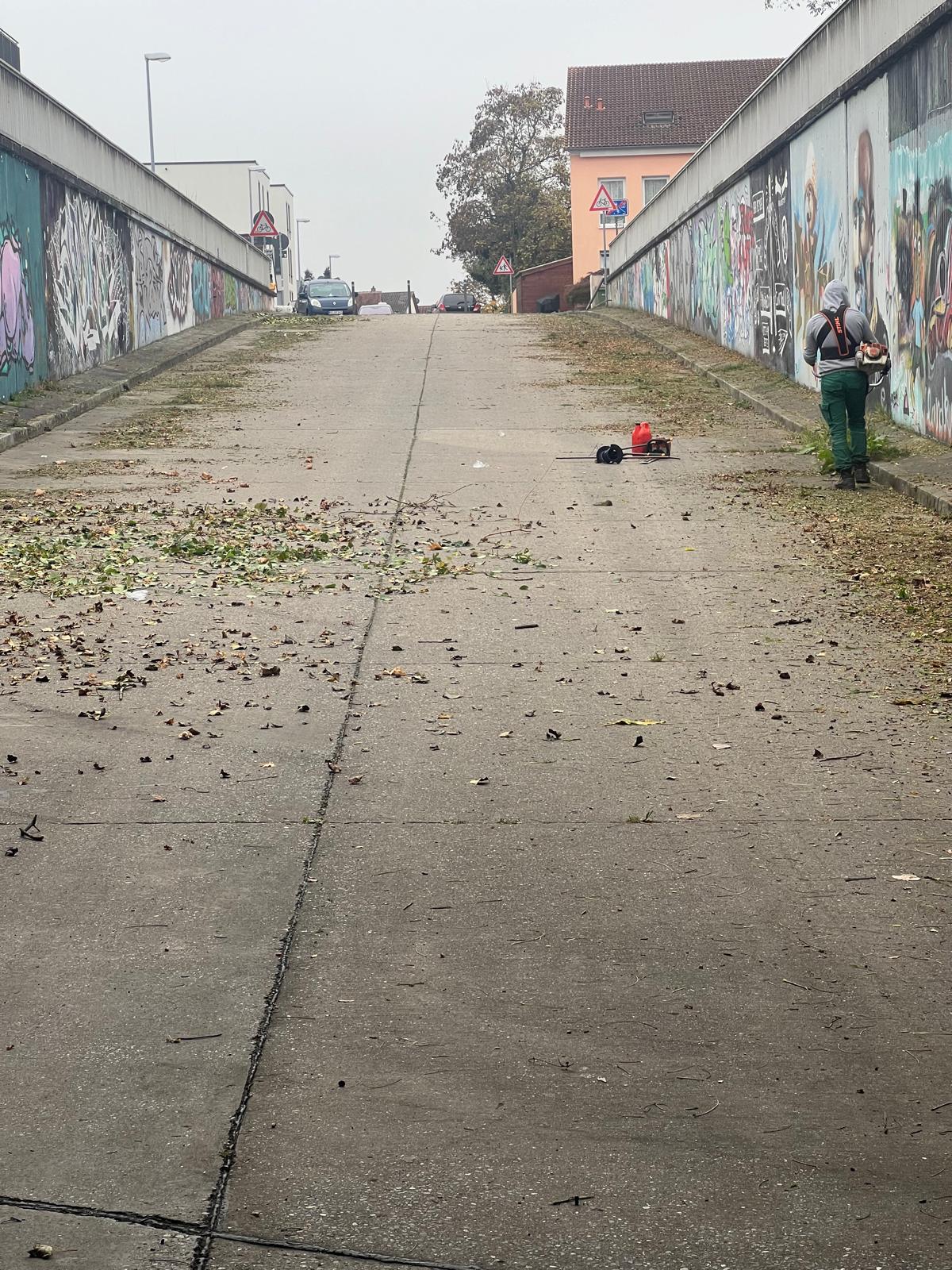 Moderner Privatgarten mit Terrasse und Teich - IHB Galabau GmbH