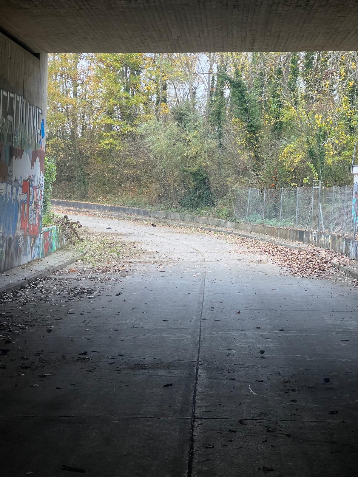 Detailansicht Pflanzbereich